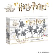 National Quidditch Team Expansion - Harry Potter: Catch the Snitch (Inglés)