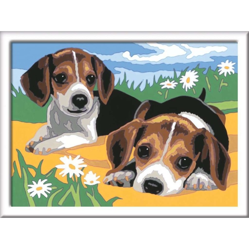 CreArt D - Cachorros Jack Russell