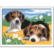 CreArt D - Cachorros Jack Russell