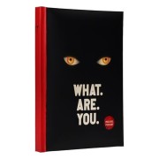 WHAT ARE YOU LIBRETA CON LUZ WELCOME TO DERRY