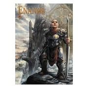 ENANOS INTEGRAL 07. FEY DEL TEMPLO / BRUM DE LOS ERRANTES