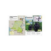 Minecraft: Atlas del mundo
