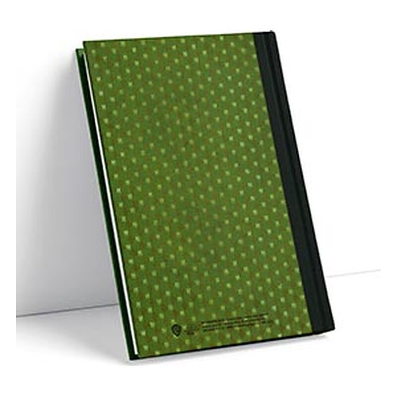 Libreta Harry Potter: Slytherin 1910 libro de ejercicios - SD Toys