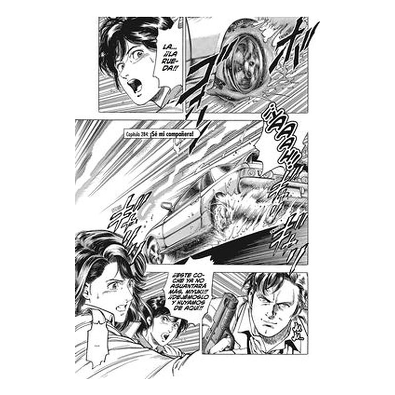 City Hunter 28