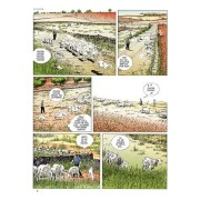 Soledad: La última alegría