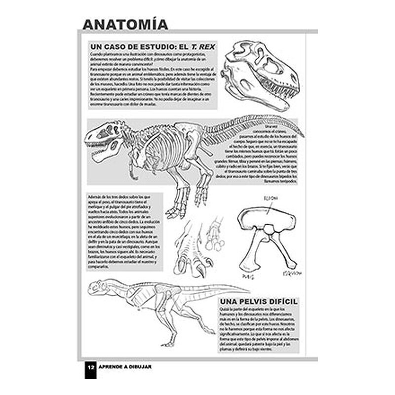 Aprende a dibujar dinosaurios