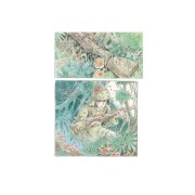 El viaje de Shuna (edición rústica)