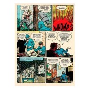 Voodoo (1954-1955) 12 (Biblioteca de cómics de terror de los años 50)