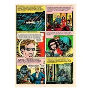 Voodoo (1954-1955) 12 (Biblioteca de cómics de terror de los años 50)