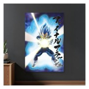 Póster Dragon Ball Super: Vegeta Universe Survival 3D - SD Toys