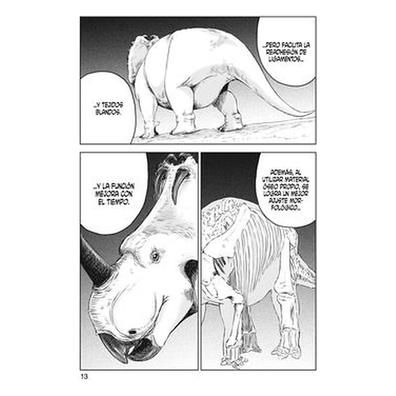 DinosaN 6