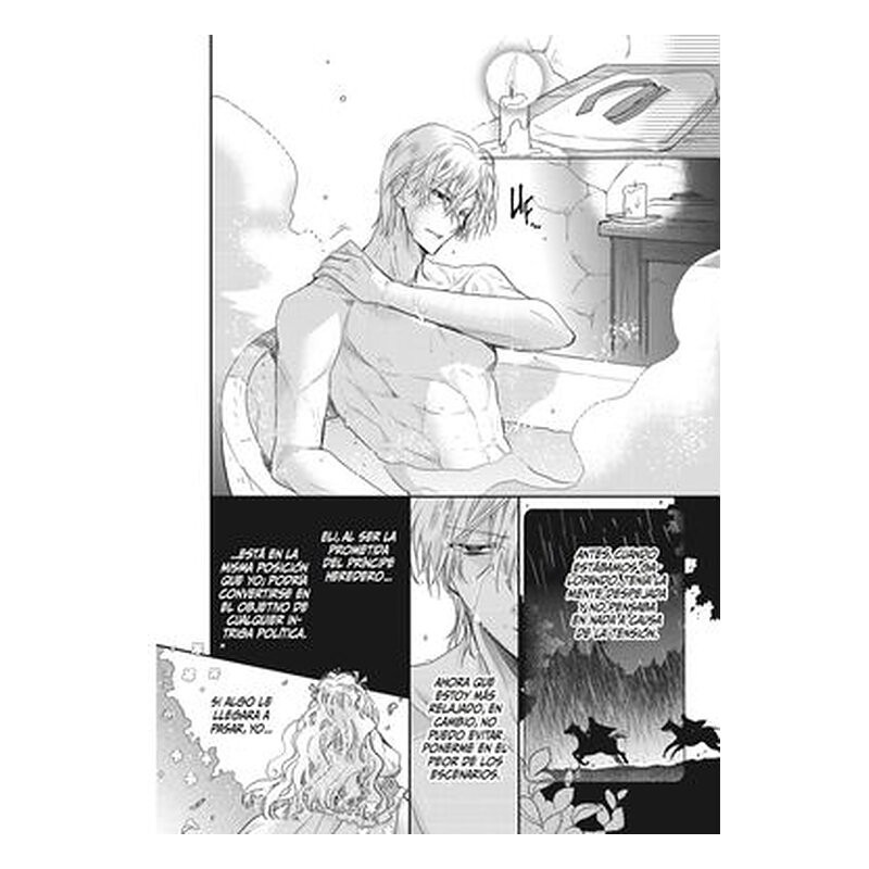 La Princesa Bibliófila 5