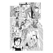 City Hunter 25