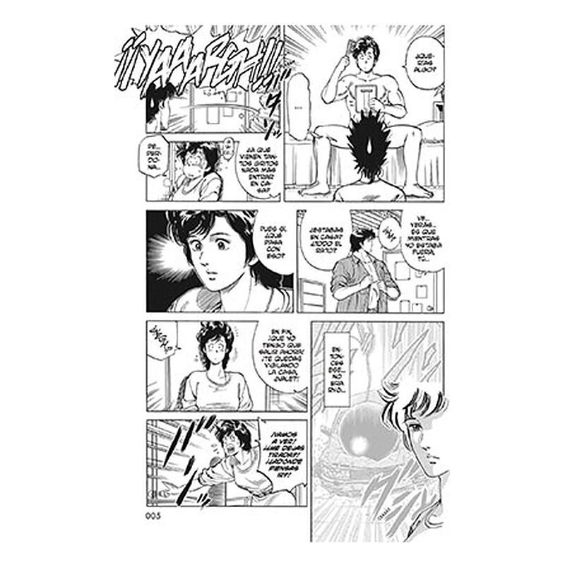 City Hunter 13