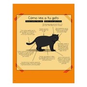 Cómo saber si tu gato planea matarte