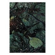 Beowulf (edición en rústica)