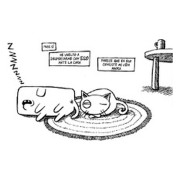 Perrito contra gatito