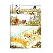 El tesoro de los moriscos