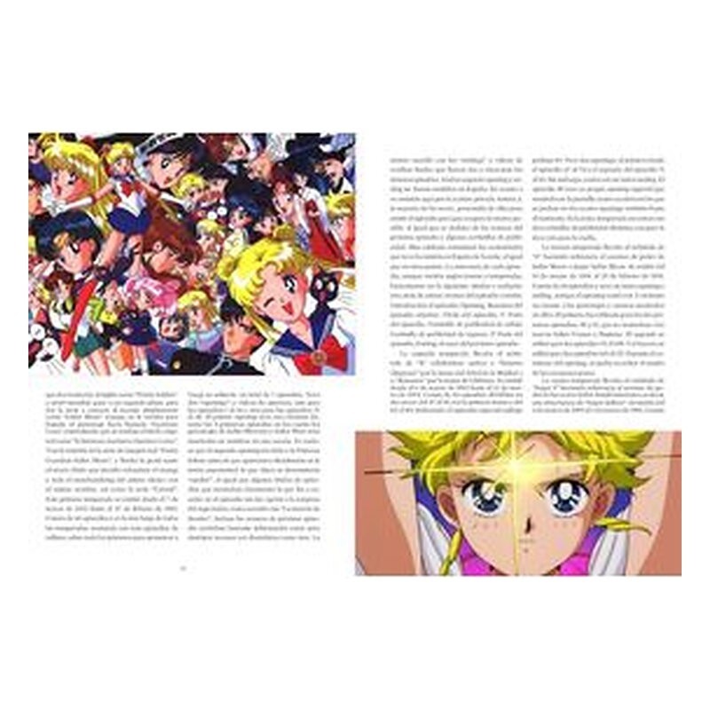En nombre de Luna te castigaré. El universo mágico de Sailor Moon 1 de 2