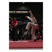 Karate Kid & Cobra Kai: Dar cera, pulir cera