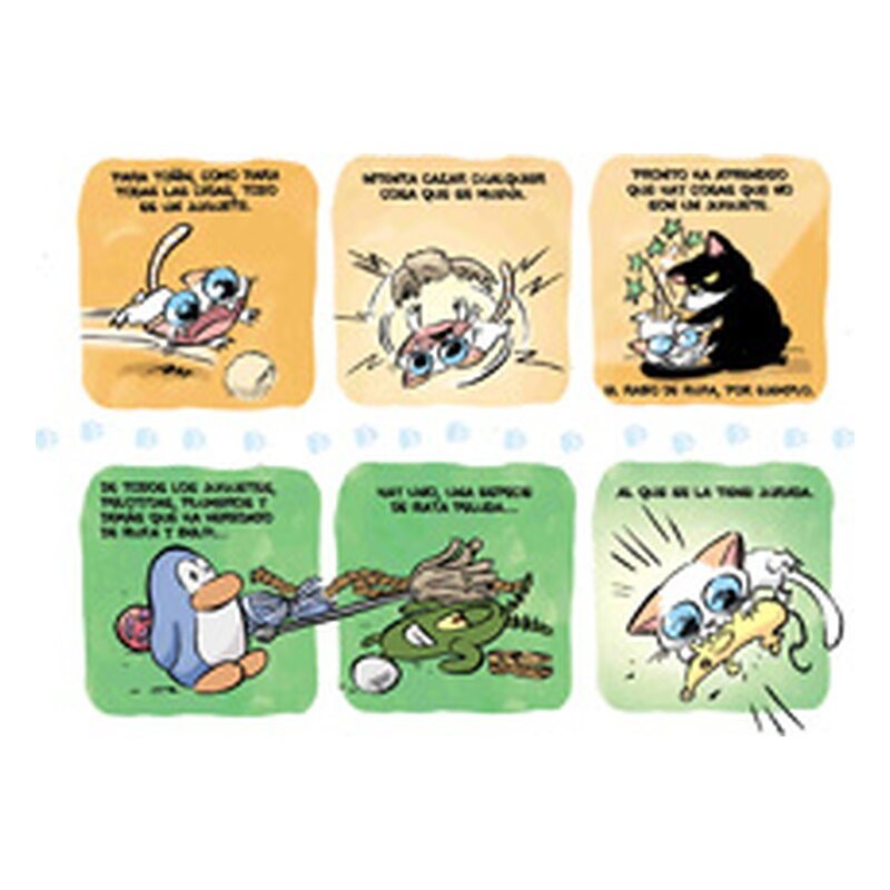 Toñín: Un gato más en la familia