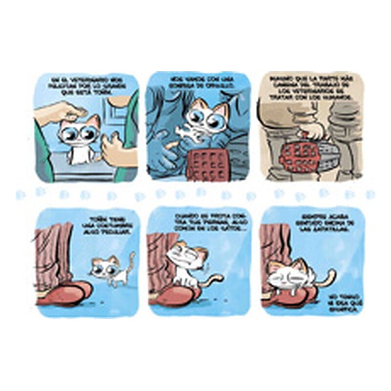 Toñín: Un gato más en la familia