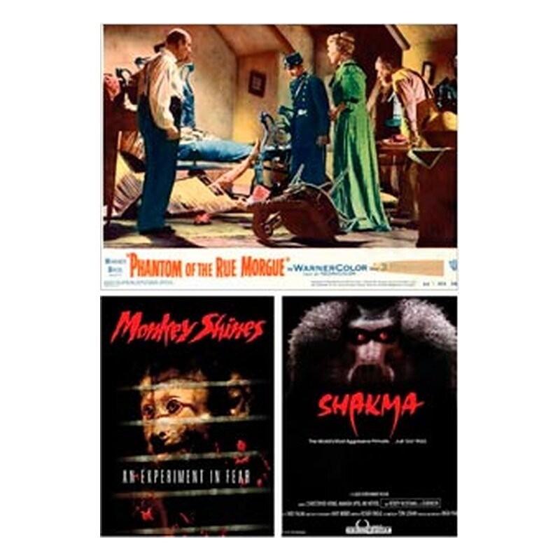 ¡Vamos a morir todos!: Lo insólito y lo paranormal en el cine