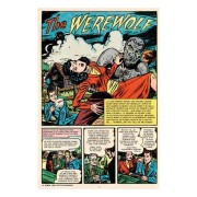 Voodoo 1952-1953 9 (Biblioteca de cómics de terror de los años 50)