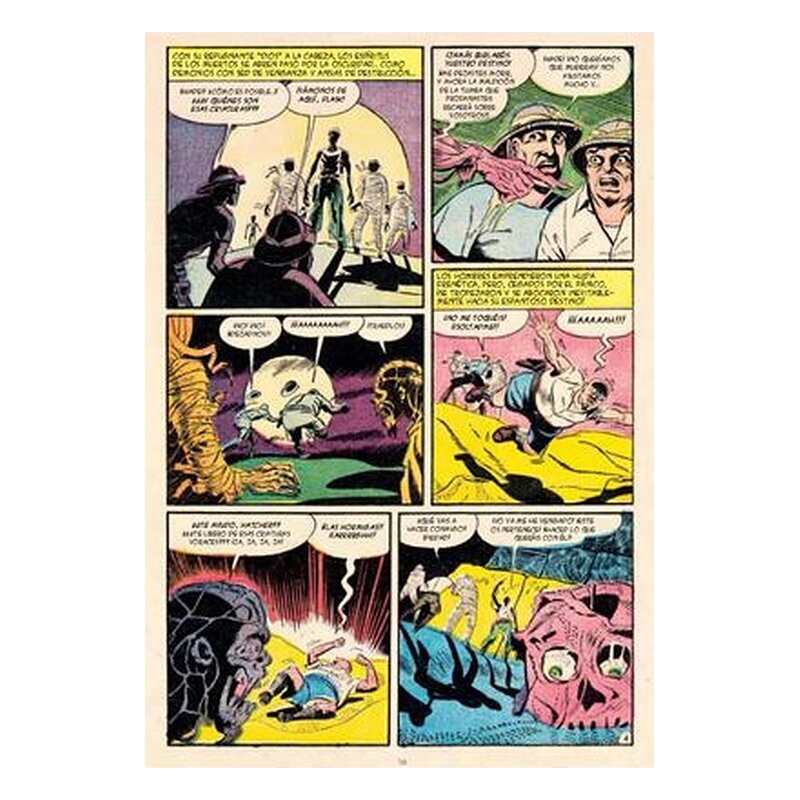 Momias 4 (Biblioteca de cómics de terror de los años 50)