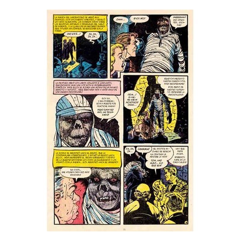 Momias 4 (Biblioteca de cómics de terror de los años 50)