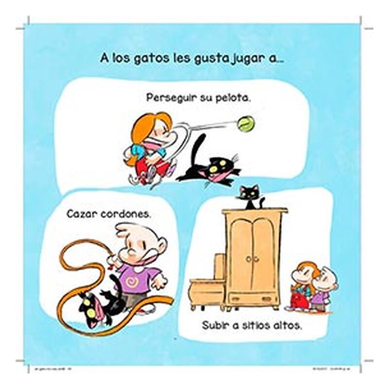 Un gatito en casa