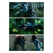 James Cameron. El rey del mundo