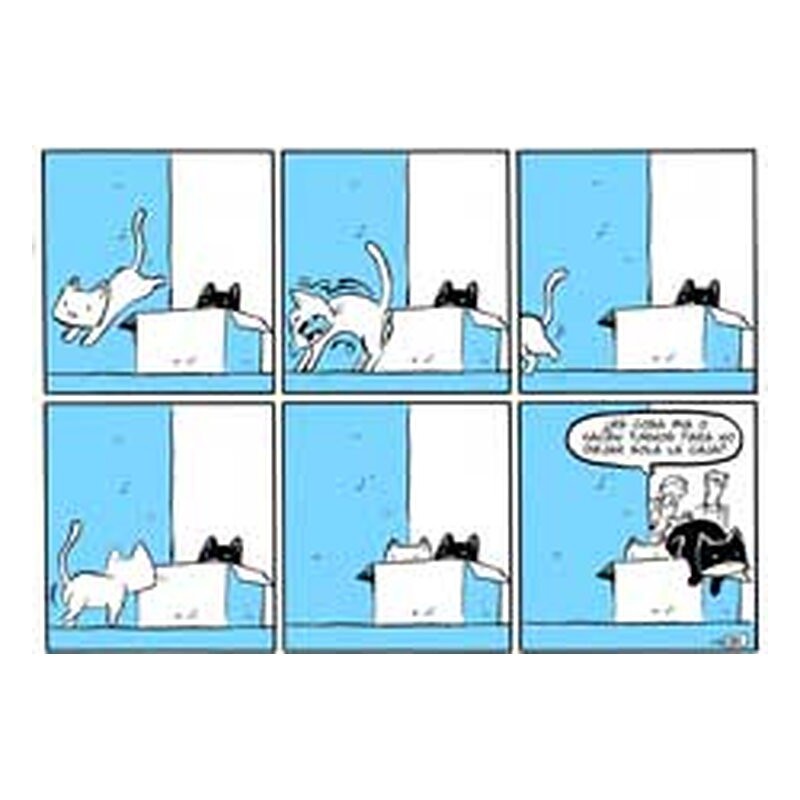 Miau 1