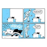 Miau 1
