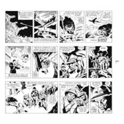 The Phantom. El Hombre Enmascarado: Tiras diarias 1972-1974