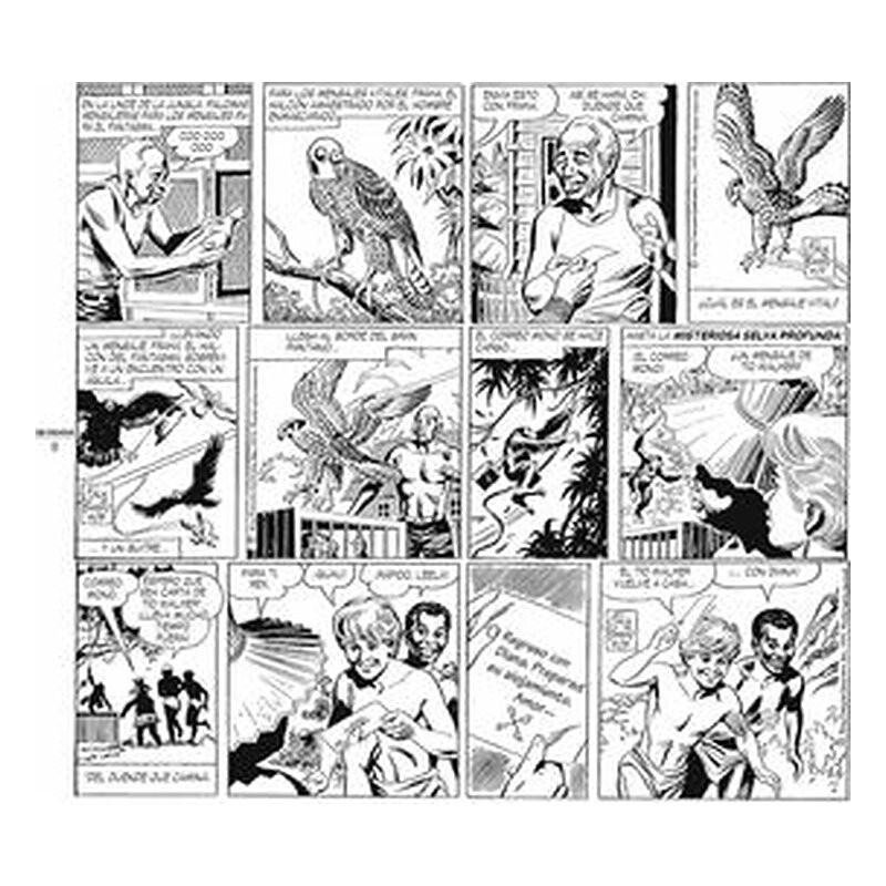 The Phantom. El hombre enmascarado: 1970-1972 Daily Strips