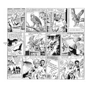 The Phantom. El hombre enmascarado: 1970-1972 Daily Strips