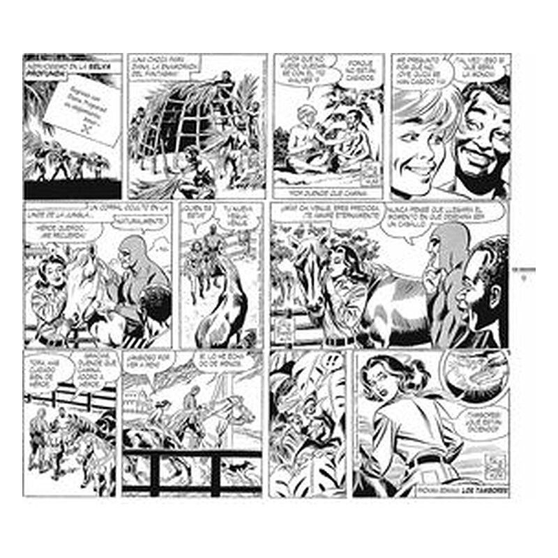 The Phantom. El hombre enmascarado: 1970-1972 Daily Strips