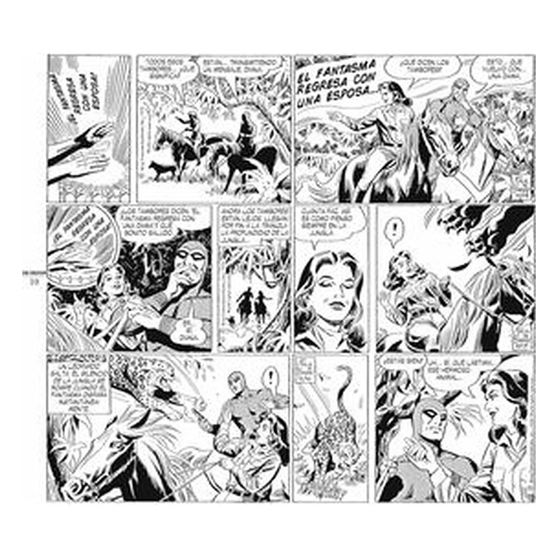 The Phantom. El hombre enmascarado: 1970-1972 Daily Strips