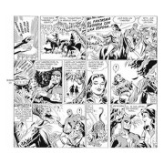 The Phantom. El hombre enmascarado: 1970-1972 Daily Strips