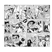 The Phantom. El Hombre Enmascarado: Rex, el heredero perdido (1969-1971 daily strips)