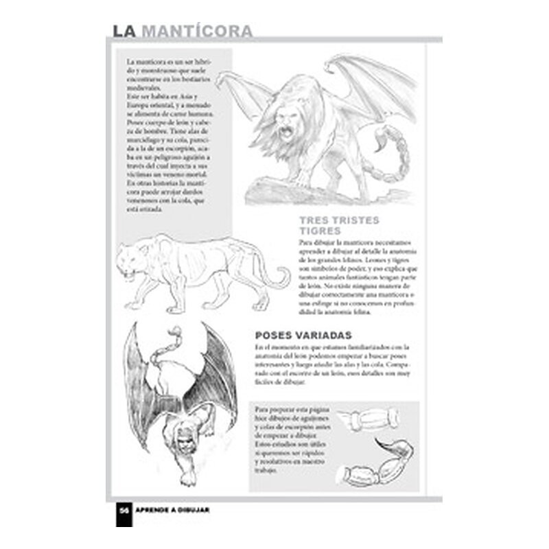 Aprende a dibujar dragones