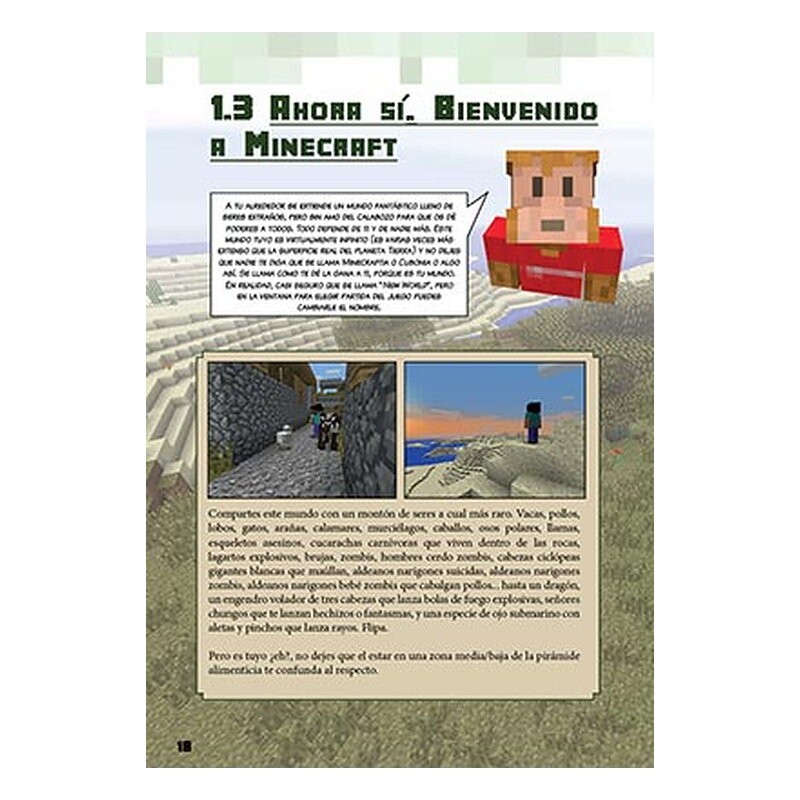 Cómo divertirse con Minecraft para todos