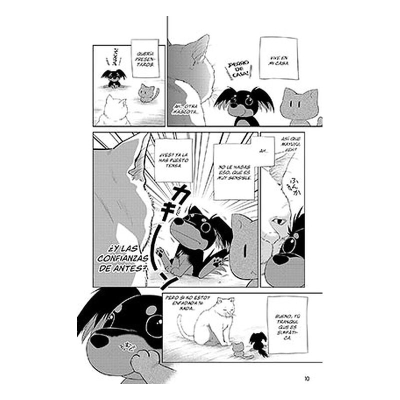 Historias absurdas 2: Otro gato